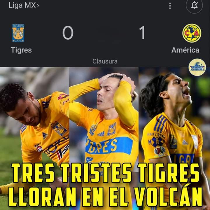 jp7647735's tweet photo. @TigresOficial Los tres tristes tigrillos 
Llorando como locas 😂😂😂 @DiegoLainez10 @DiegoReyes @ El otro ni se como se llama https://t.co/0Z9OAOYbOj