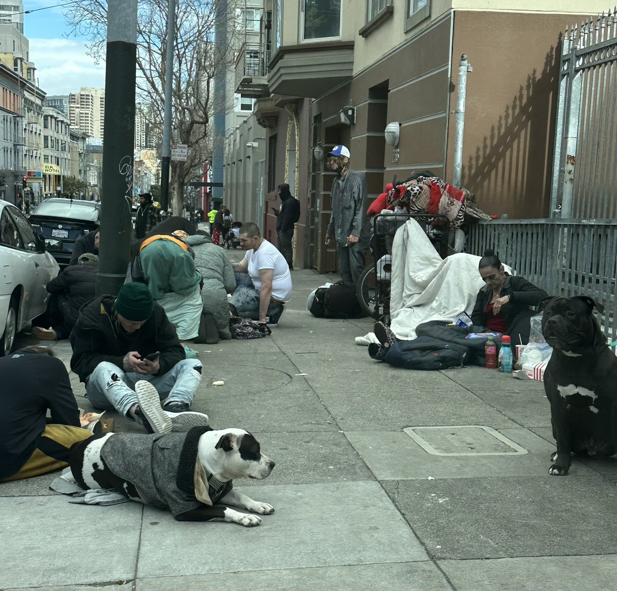 lanilani89's tweet photo. Just another day on the streets of SF https://t.co/kBX8qbXt54