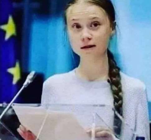 mspbra's tweet image. Greta convidou os chineses a desistirem de usar os pauzinhos para salvar árvores! Os chineses convidaram ela a voltar para a escola, onde aprende que os pauzinhos são feitos de bambu. Bambu é grama! E convidou ela a não limpar a bunda com papel higiênico, pq é feito de árvore!