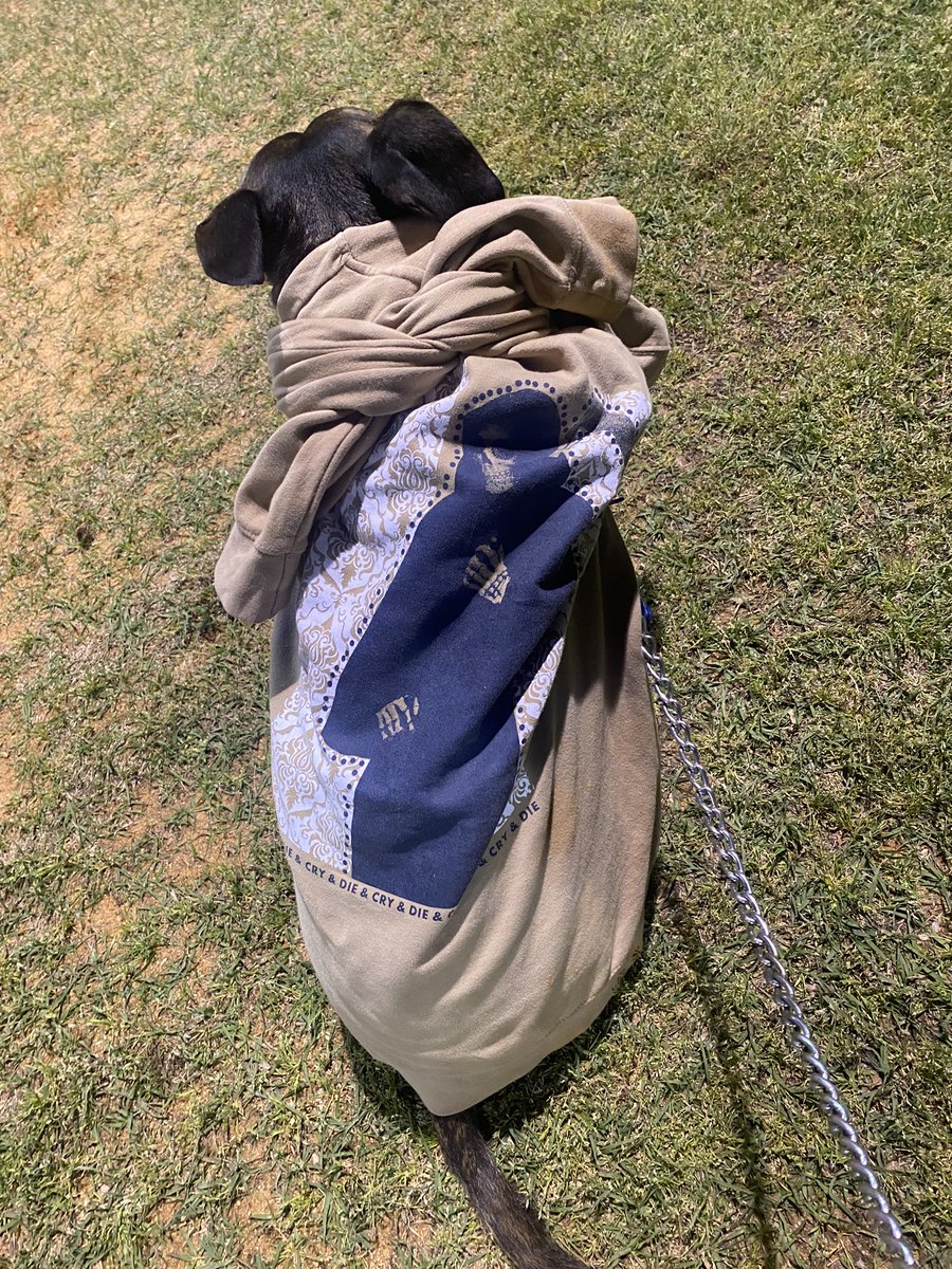 I’m a bad dad and forgot her jacket so I gave up my favorite <a href="/SpanishLuvSongs/">Spanish Love Songs</a> hoodie to keep her warm.