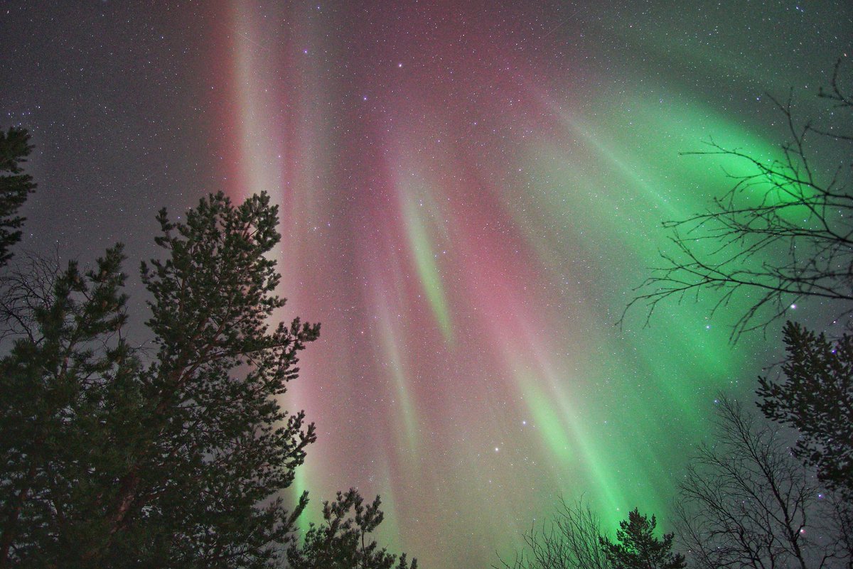 DarrenBeardmor1's tweet photo. Surprised how much red I could see here this morning in #Utsjoki. We normally only get greens

#auroraborealis #northernlightsphotography #northernlights #lapland @TamithaSkov @chunder10 https://t.co/4aR6vkimOE