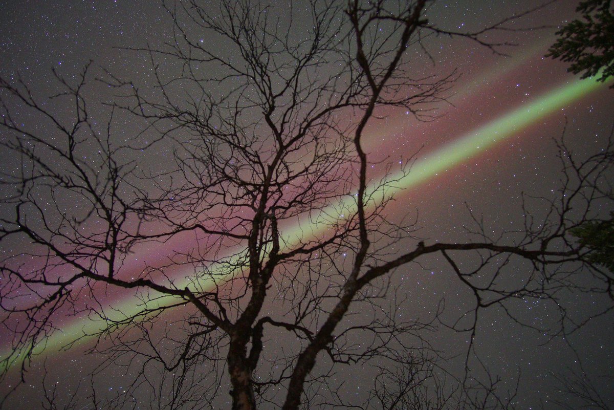 Surprised how much red I could see here this morning in #Utsjoki. We normally only get greens

#auroraborealis #northernlightsphotography #northernlights #lapland <a href="/TamithaSkov/">Dr. Tamitha Skov</a> <a href="/chunder10/">James Rowley-Hill</a>