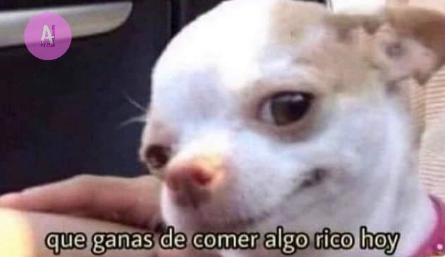 lndirecto's tweet image. *Depositan mi sueldo*

Yo automáticamente: