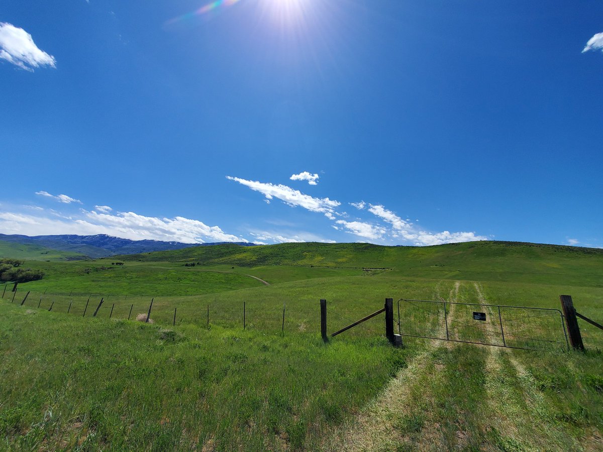 Urbanaro tweet media