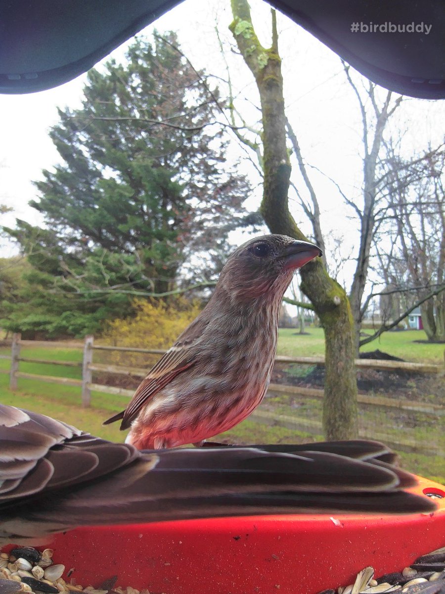 Kyle Martin tweet media