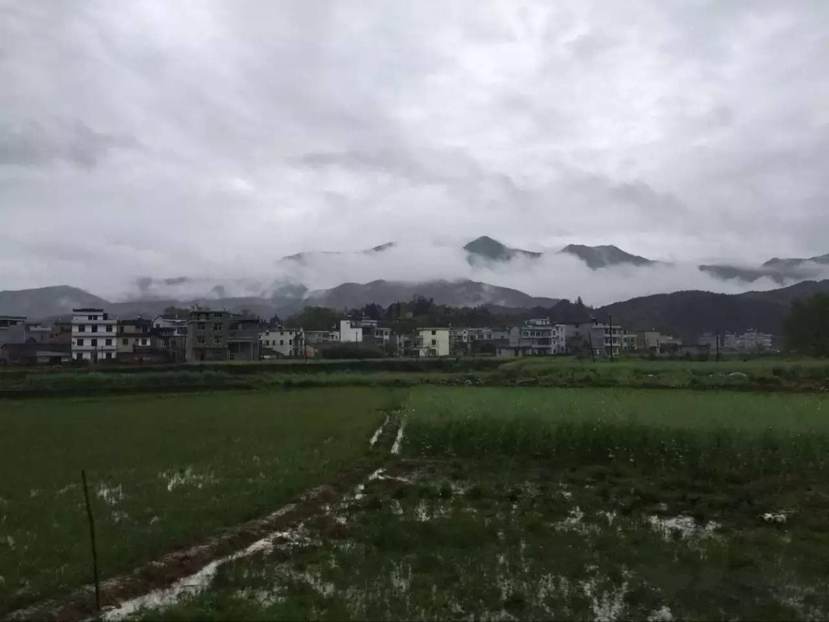 DynamicJiangxi's tweet photo. #dakajxvillage Located at the southern foot of Huaiyu Mountain foot of Sanqing Mountain, #Jinxi Village is a natural #village with a long history and rich cultural heritage, which has been known as "the culture of Yushan springs from Huaiyu, and #Huaiyuculture comes out of Jinxi https://t.co/BczhycmFSI