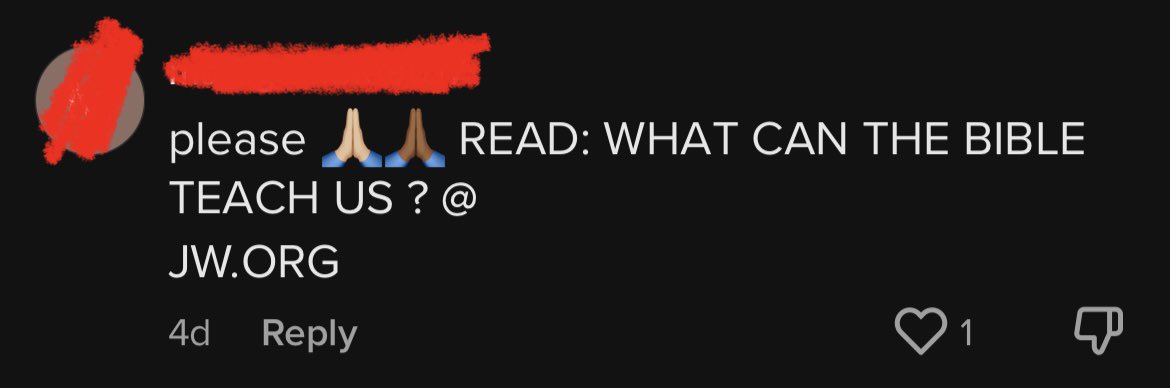 Wait so are witnesses preaching by commenting on random tiktok videos now?? Or??? #exjw #JW #JehovahsWitnesses