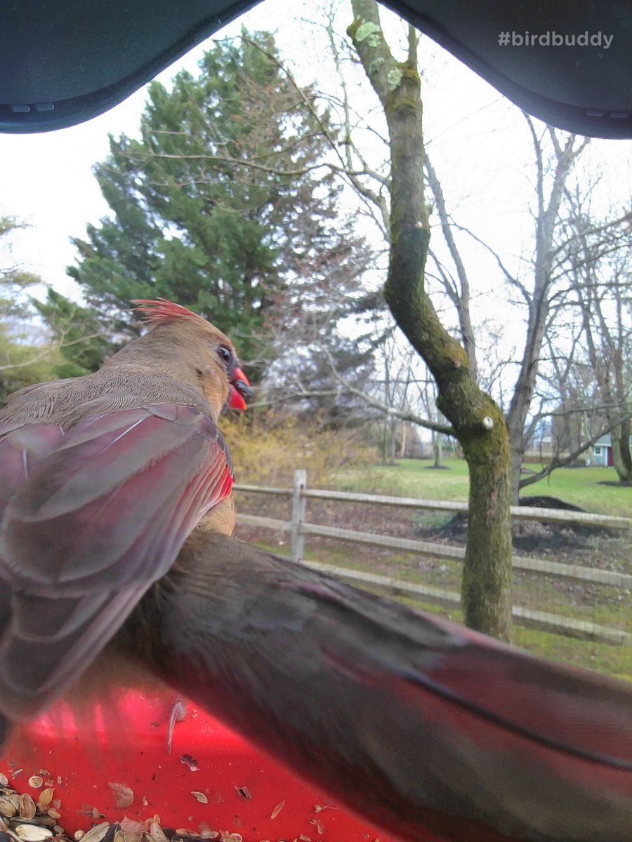 Kyle Martin tweet media