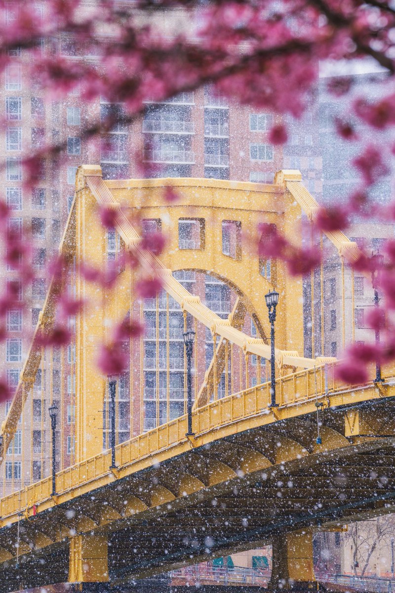 DaveDiCello's tweet photo. Seeing seasons collide is one of my favorites part about living in western PA, and that's exactly what happened today in #Pittsburgh. This morning heavy snow moved through, giving the Andy Warhol Bridge a painterly look as spring colors framed the scene. Tons more of these come. https://t.co/tHwf8dvA3a