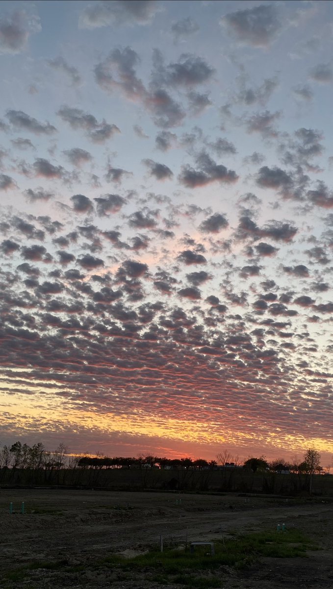 Tonight’s sunset in Temple, Texas, 3.13.23. #TexasSunsets @spann @WeatherSean @camillehoxworth @kwtxweather @kwtx @TempleTXPolice @bswhealth_Templ @cvsherman @BeltonChamber @ChikageWeather @TxStormChasers @CTXWXWatchers @texasgov