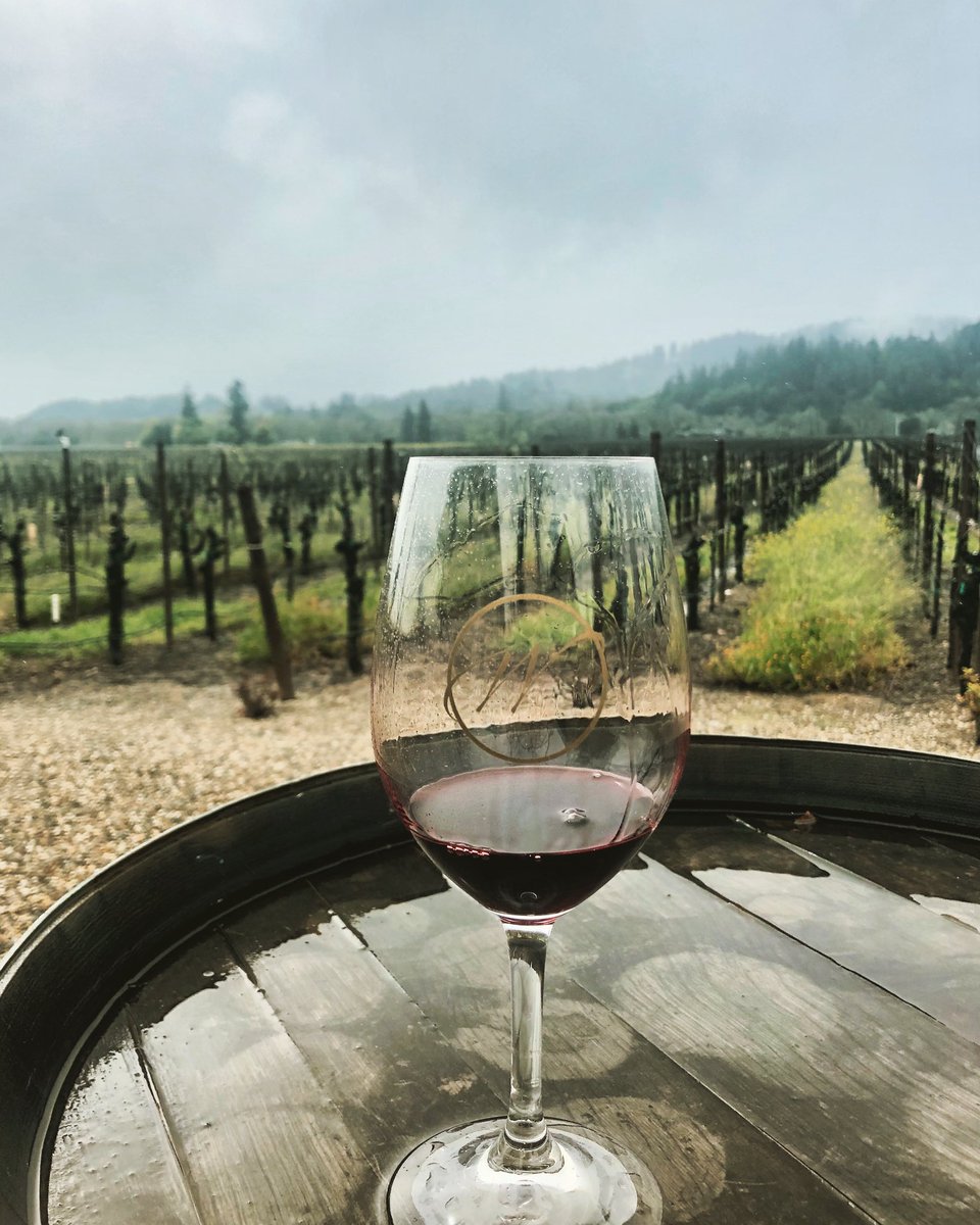Rainy Days &amp; Mondays! 
🍷🌧️😕

Rain or shine, our tasting room is open Thurs-Mon 11 am-4 pm! Reservations recommended, walk-ins on availability.

#westwines #rainyday #winelife #winetasting #healdsburg #wineroad #sipsonoma #sonomacounty #cabernet #drycreekvalley #weareopen