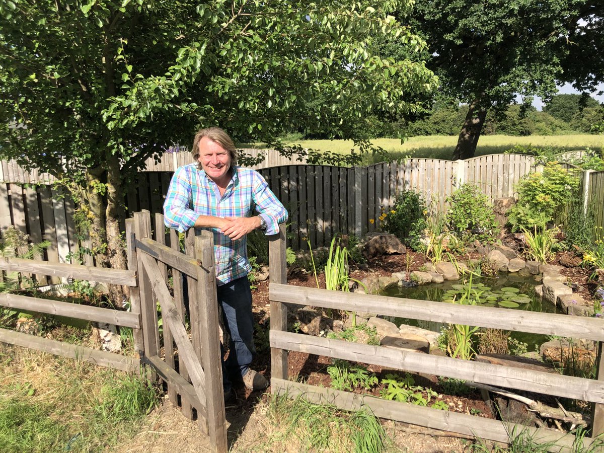 All the stumps and logs David used in the pond area came from Mark Fiddes Tree Works Ltd