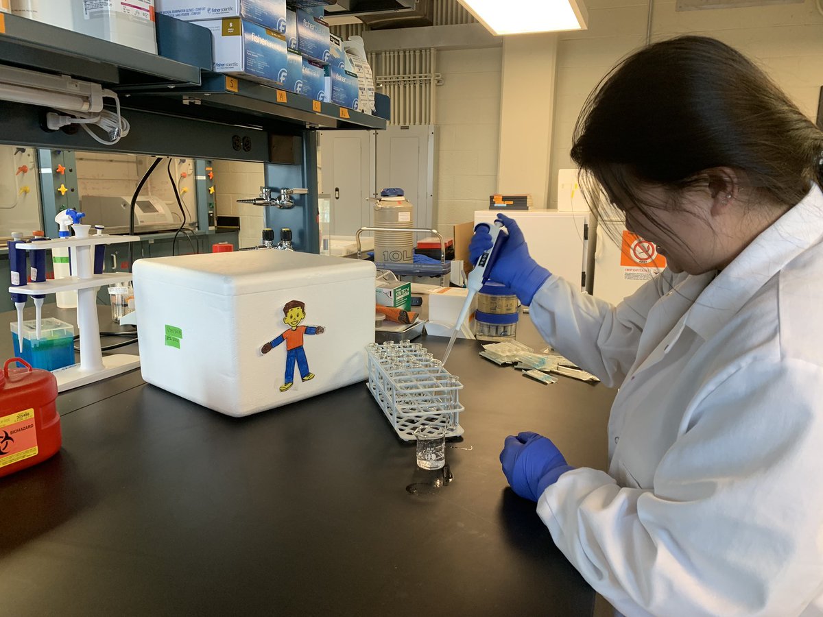 DoctorEDB's tweet photo. Flat Stanley visits the lab 😁 Thanks @annaljoness! https://t.co/H0Vne1MsDy