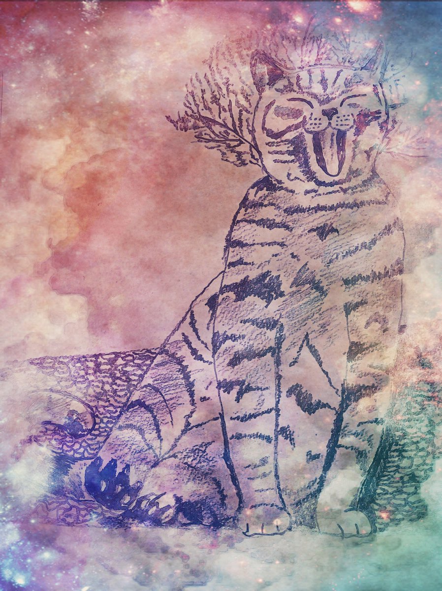 大人の猫景色︎👍🏻 💞