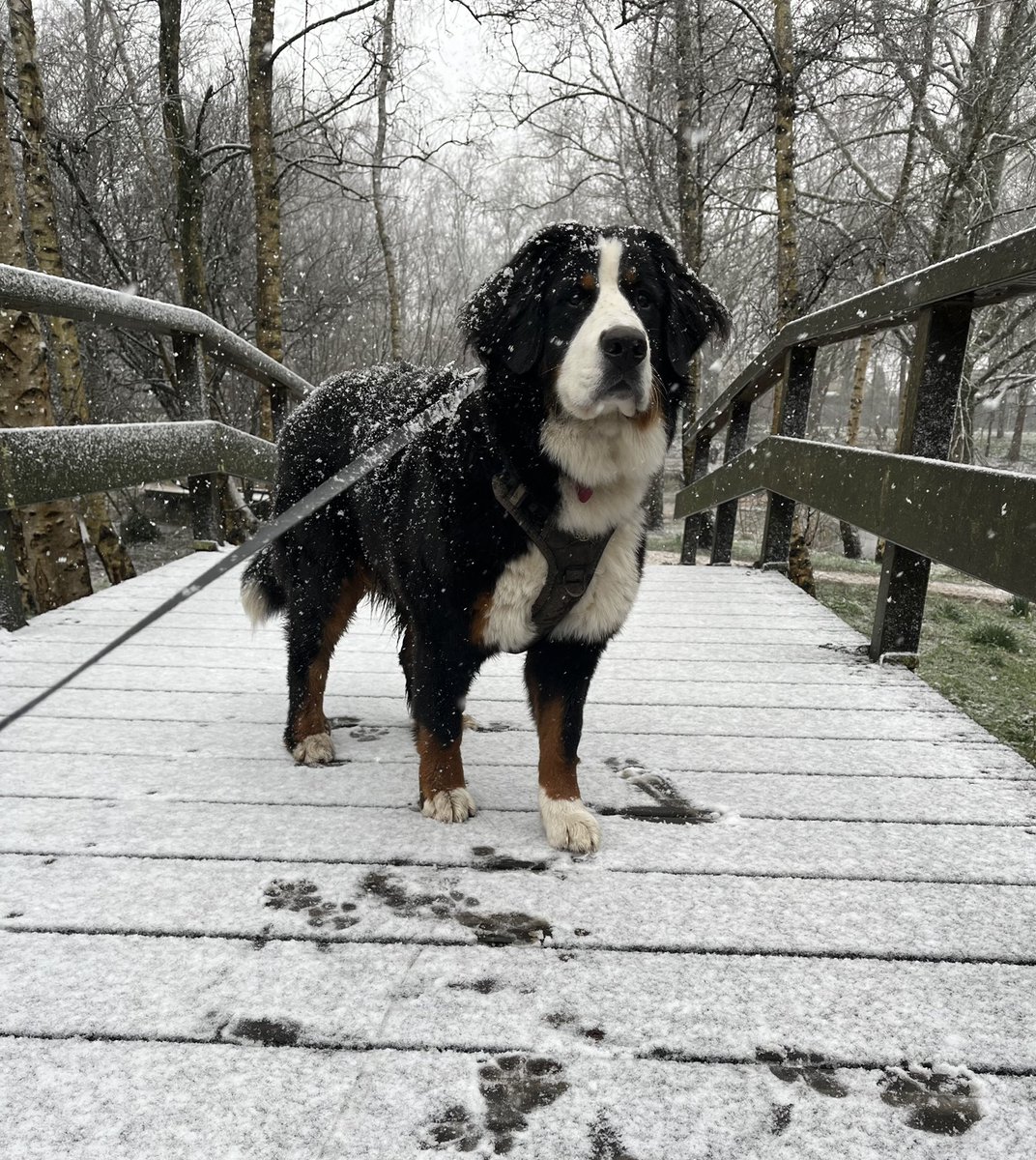 けい🦙💤Katie💙 tweet media