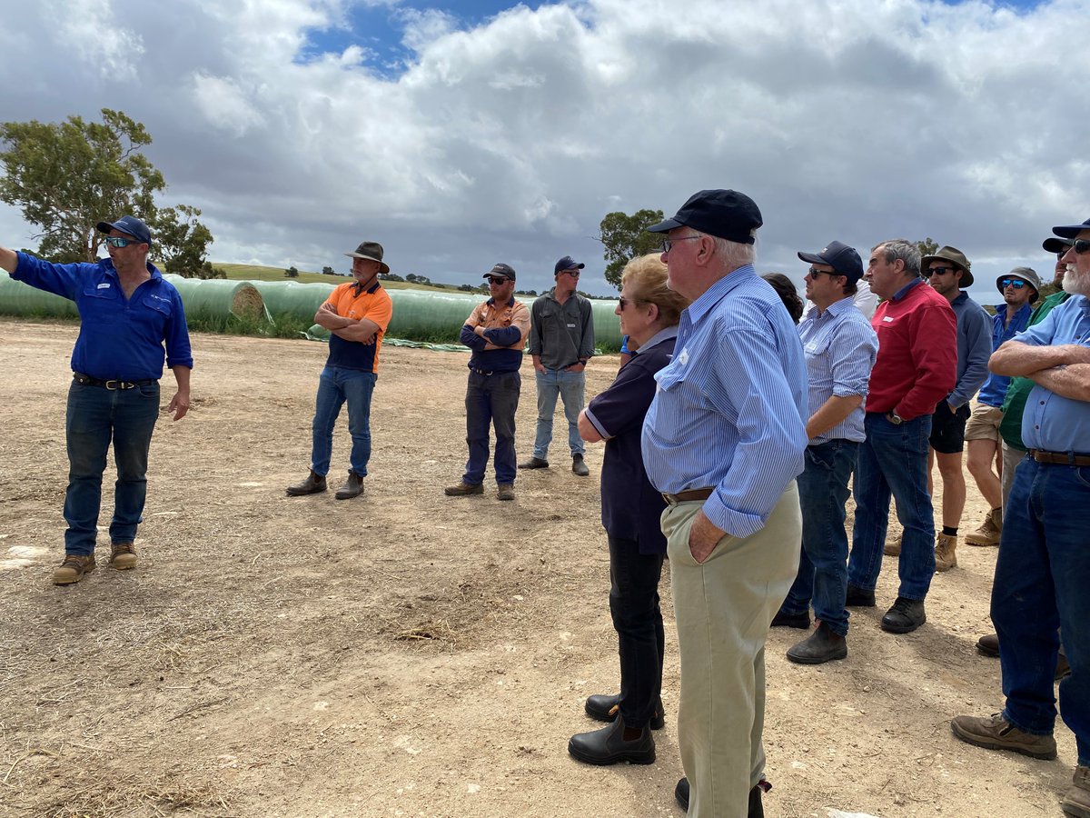 MacKillopGroup's tweet photo. Here's a recap of our Stock Containment Tour at Keith. Thanks to hosts - @makin_chad Makin Nominees, Pitchford Pastoral @pitchpastoral & Hyfield Pastoral @jeremylushy. What's important: hygiene, feed induction & location of watering points. #MFMG #stockcontainment #SADroughtHub https://t.co/pxBHPdCC1u