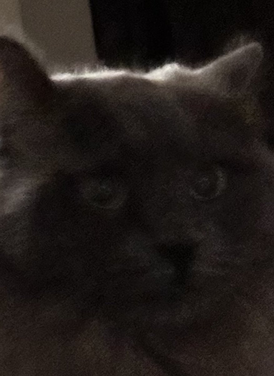 Donut Operator 🍩 tweet media