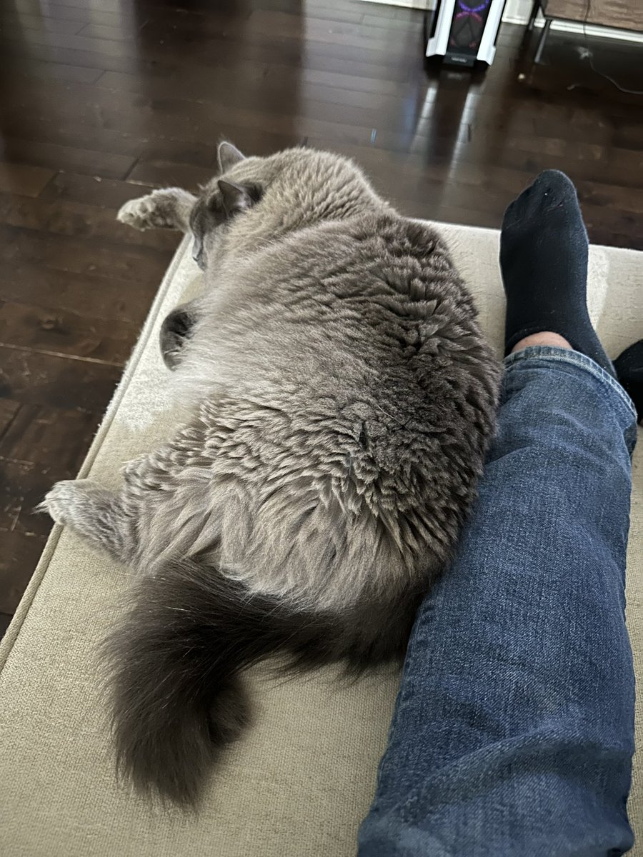 Donut Operator 🍩 tweet media