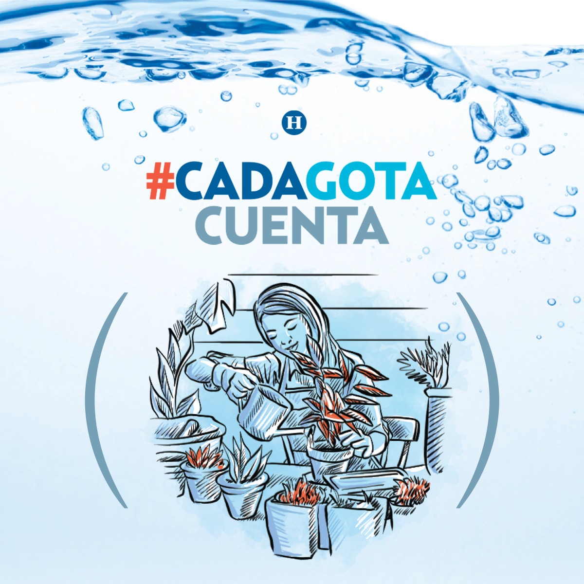 heraldodemexico's tweet photo. #CadaGotaCuenta | Riega las plantas y el jardín sólo con la cantidad de agua indispensable, durante la noche o muy temprano por la mañana, cuando el sol tarda en evaporar el agua. https://t.co/JqeXbyFcSb