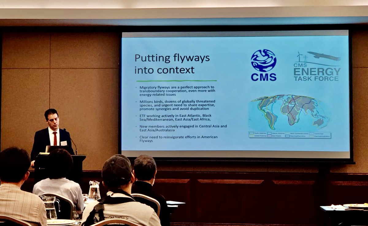 _Ivan_Ramirez's tweet photo. Yesterday we had a full room at @EAAFP #MOP11 to learn about the @BonnConvention #EnergyTaskForce
We will also present at plenary tomorrow the 15th. We can step up efforts to address Knowledge gaps and promote sustainable #renewable energy in this region. https://t.co/0K5zB6oVzd