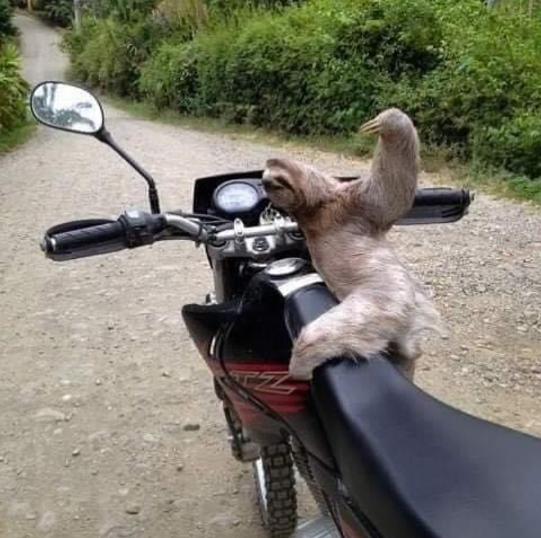 MemesOfCars's tweet photo. get on. no time to explain https://t.co/8tGmhlYyTL