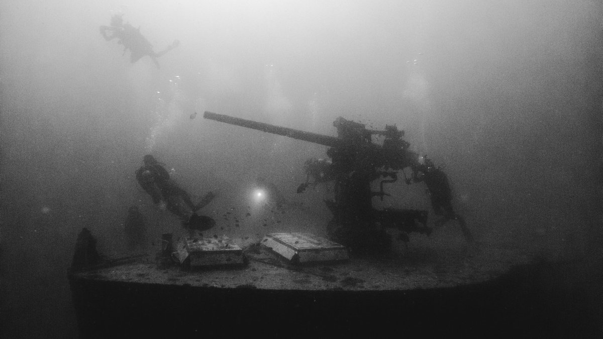 gabriellamort's tweet photo. A low vis strong current kind of plunge https://t.co/2TNYoNA3xo