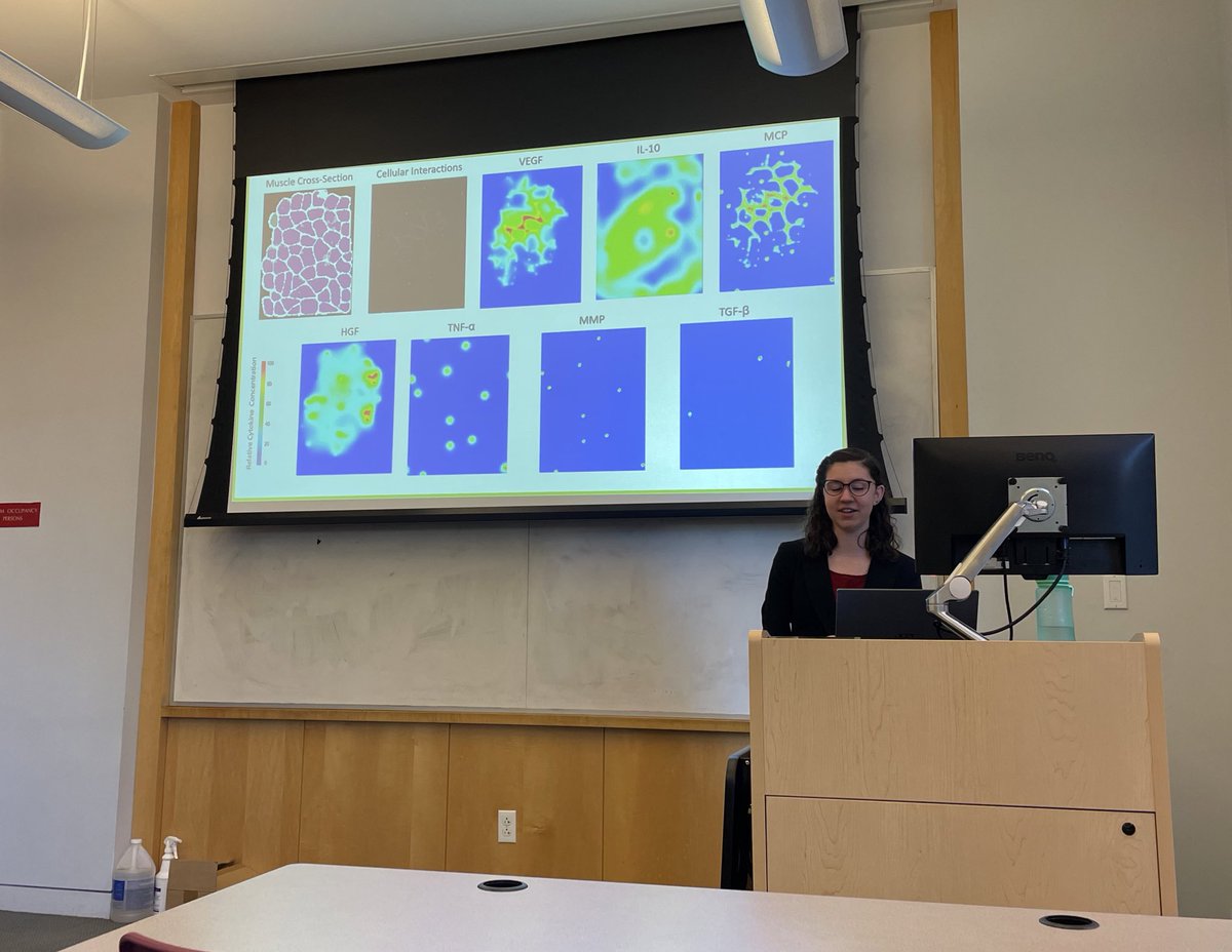 Congratulations to @biomeganics on an awesome PhD proposal describing her complex models and experiments to uncover the role of estrogen levels on muscle regeneration! Megan has “generated” new ideas for the field and “leveled” up agent based modeling techniques! #muscleiscool