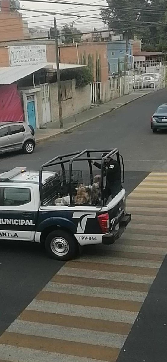 sociologagodin's tweet photo. ¿Alguien sabe qué pasó? Circulan estas fotos en un grupo de los reyes iztacala en Tlalnepantla, vecinos indican que hoy las patrullas se llevaron a estos perritos 😱  

@Gob_Tlalne  su ayuda por favor para conocer qué pasó 🙏🏼 https://t.co/X4d6HFkHHq