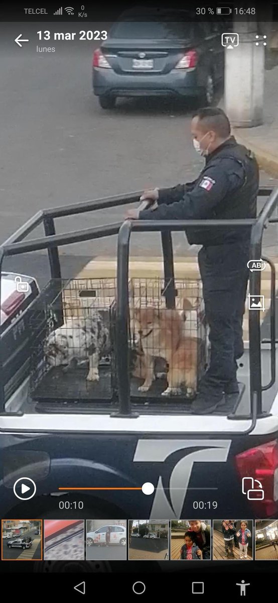sociologagodin's tweet photo. ¿Alguien sabe qué pasó? Circulan estas fotos en un grupo de los reyes iztacala en Tlalnepantla, vecinos indican que hoy las patrullas se llevaron a estos perritos 😱  

@Gob_Tlalne  su ayuda por favor para conocer qué pasó 🙏🏼 https://t.co/X4d6HFkHHq