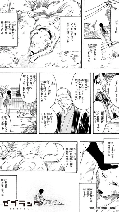 「眠れないアル」(4/4)  #PR #ゼブラック #集英社公式アプリ #漫画が読めるハッシュタグ  ▼今すぐ『銀魂』を読む!  