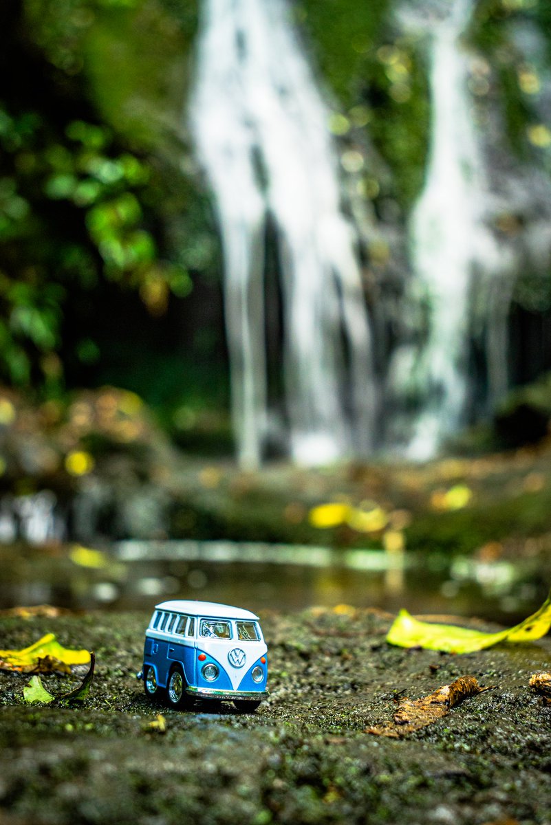 Anne's Falls. 
#travel #travelnz #mynikonlife #nikonphotography #nikoncreators #Nikon #purenewzealand #NewZealand #photography #landscapephotography