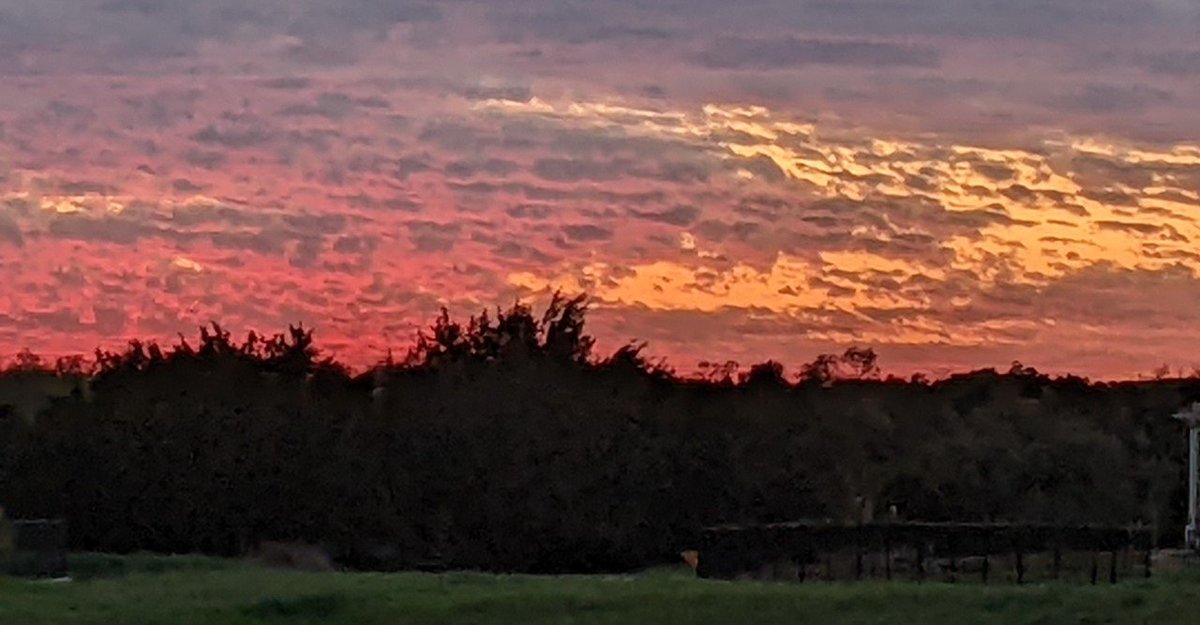 ChikageWeather's tweet photo. Sun City sunset! Those colors are gorgeous!
Photo: Lynette Heckmann
#atx #atxwx #cbsastinwx #atxsunset #wilcosunset https://t.co/yEWun17jiO