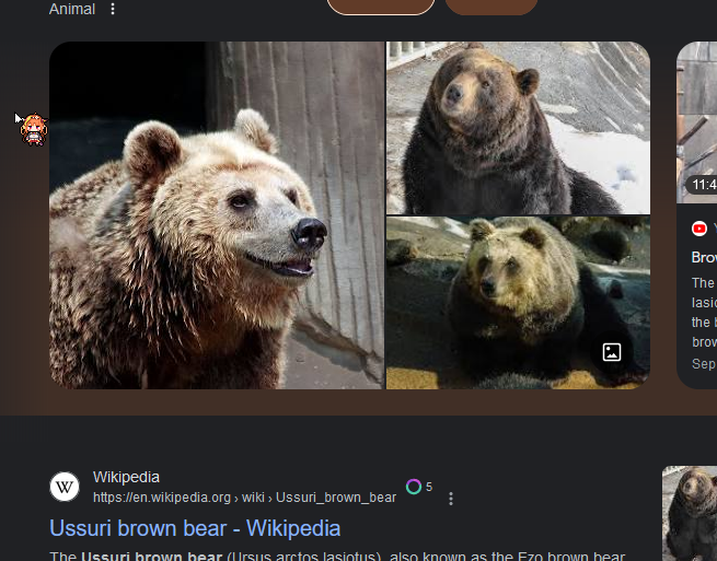 Brown bear - Wikipedia