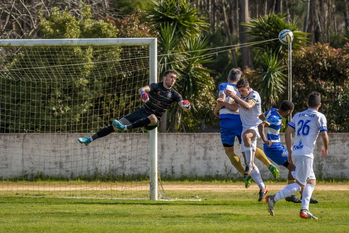 SCVistaAlegre's tweet photo. 1-0 🆚 AA Avanca

O próximo jogo é dia 19 de março, domingo, às 15:00h, frente à JuveForce, no Campo Municipal da Vista Alegre.

⚪️🔵
#CrescemosJuntos
#JuntosSomosTalé https://t.co/QtTKAb8NIT