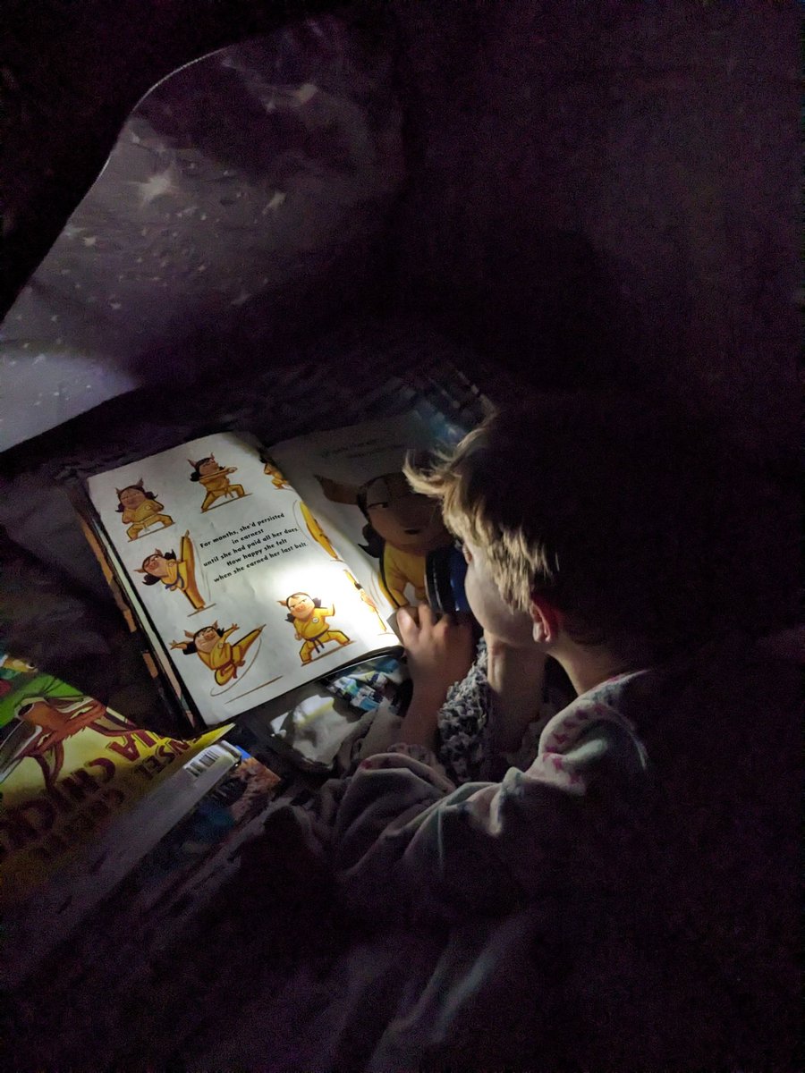Got some oldies but goodies from <a href="/CoreyPBNinja/">Corey Rosen Schwartz</a>. Someone needed to keep reading after lights out. 
#kidlit #amreading
