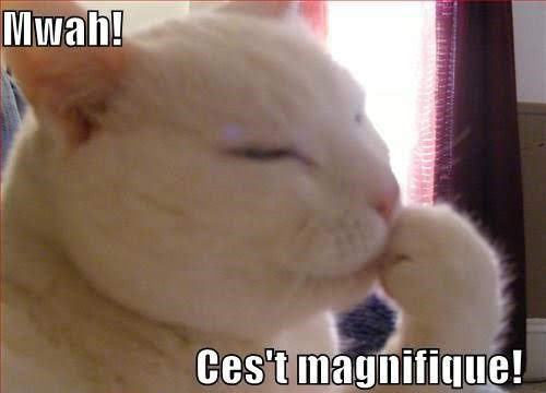 BOOBSIDE tweet media