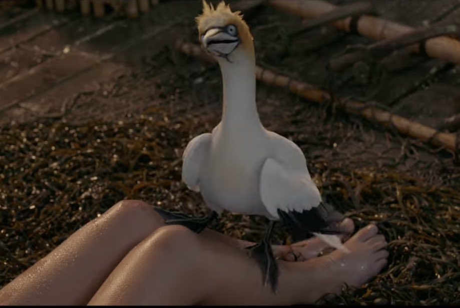 ChampagneLabUSI's tweet photo. I got so caught up in the Sebastian tweets today, I just noticed that Scuttle the Seagull is depicted as a FREAKIN’ GANNET in the #LittleMermaid ! #NotMyScuttle https://t.co/lQXNvYjLwG