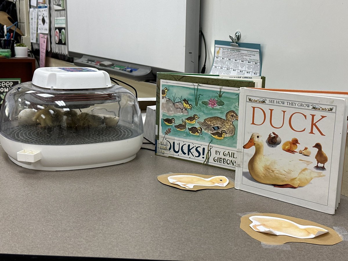 Liz Schriver tweet media