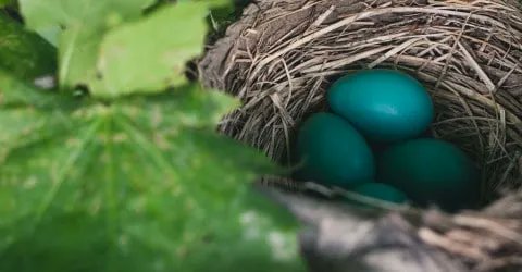 SnailPaceTrans's tweet photo. Looking for something to do this spring with the family? Check out this list of 59 fun, family-friendly activities that are very affordable.  https://t.co/nsvdbWzCKX #SpringBreak #familytime https://t.co/qaNxRWHRH4