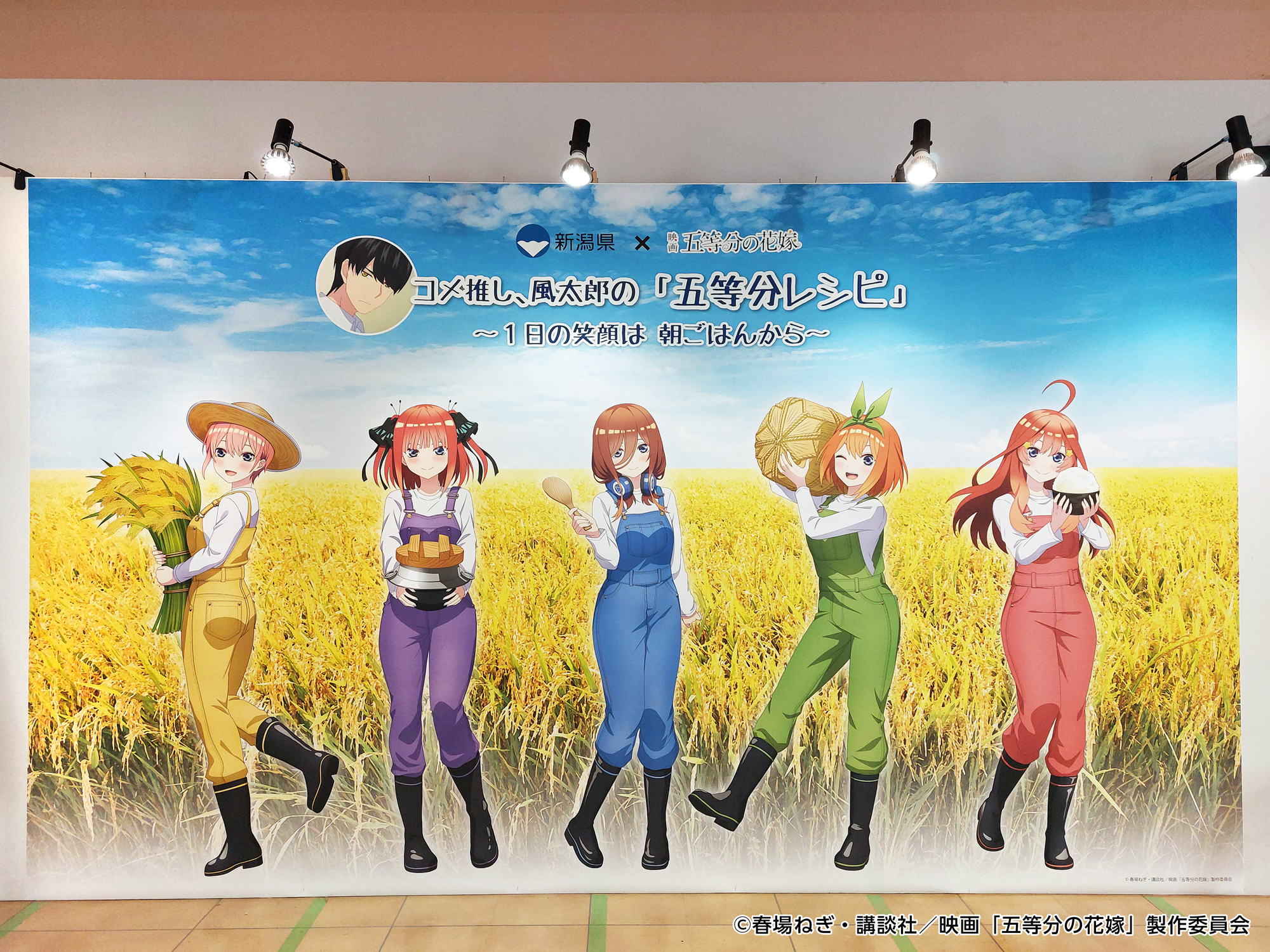 新潟米コラボキャンペーン 五等分の花嫁クリアファイル 新潟市マンガ・アニメ情報館 on X: 