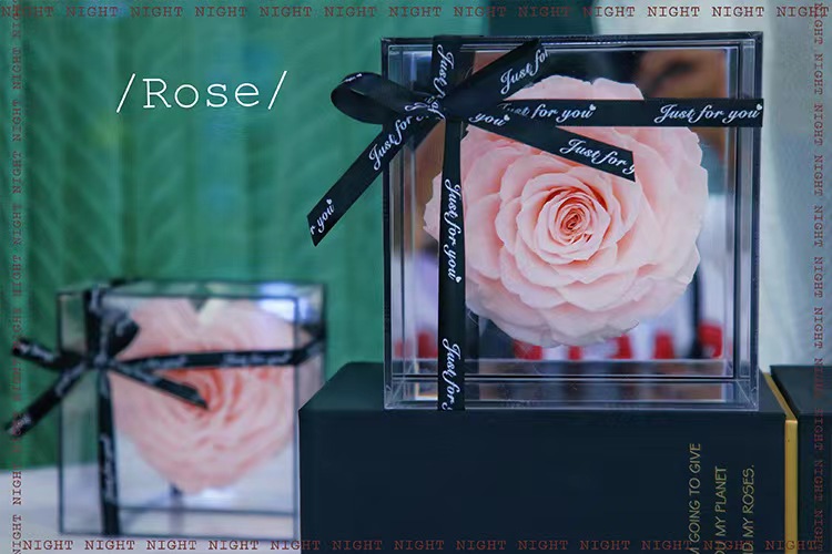 preserved roses with mirror box #eternalroses #foreverrose #lastingrose #preservedrose