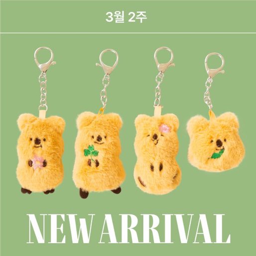 아니 세상에 우리아들다이소뮤즈됨 ;;;;;;;;