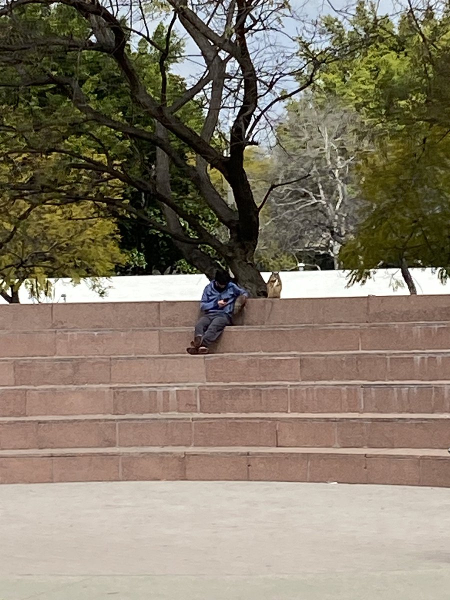 VoluptuousDave's tweet photo. I was walking down in LA when all the sudden I see this fucking beauty of man just chilling with an owl he’s got on a leash. https://t.co/7RqzXWwRnK