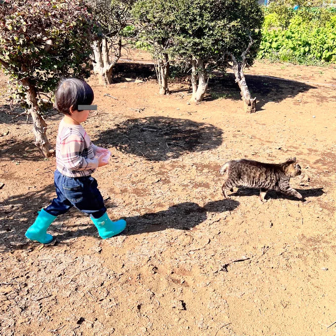 ねこまた寝てた子が追いかけてったら(猫ゴメンネ)アリエッティが住んでそうなところに誘い込まれたわ 