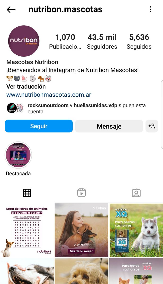 gabstwittea's tweet photo. El es el veterinario Gustavo Marin, aparentemente dueño de la empresa Nutribon que auspicia GH, el entregó a Mora y Caramelo.
Hagamos viral el pedido de que se den en adopción JUNTOS y no a Romina que tiene nenas chiquitas q ya mostraron no son aptas para cuidar cachorros. RT #GH https://t.co/ibS7ryFuAz
