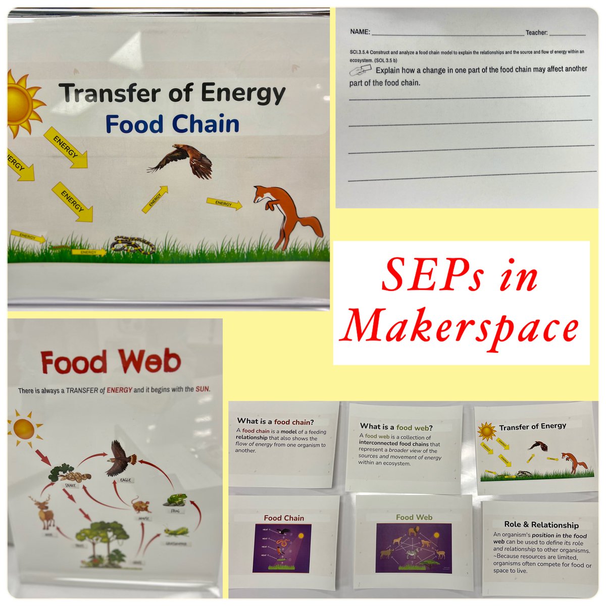 paulamott13's tweet photo. #3rdGrade #SEP of the #foodchain showing the #transferofenergy These boys were so proud of their work, & so was I! #FoodChain to #web & they just kept adding on #handson #vbits #vbett @DrShewbridge @KScarbs #makerspace @BeachSupe @anne_bianchi @Geri_VB @LinkhornParkES @vbschools https://t.co/5wuqZRqRYD