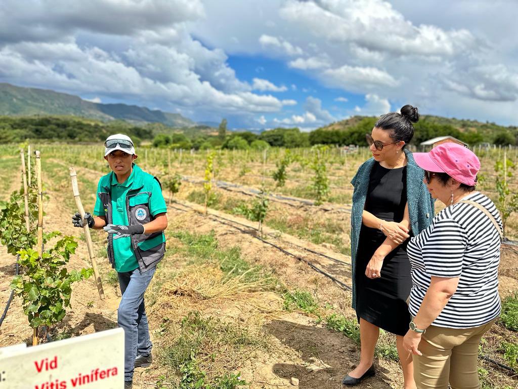 DominiqueHasler's tweet photo. I learned about the substantial impact of a project implemented by #FAUTAPO, supported by 🇱🇮, with focus on vocational training on sustainable food production &amp; processing. Impressed to see how 750 students, 400 producers &amp; teachers are reached by this innovative approach https://t.co/oxYPuwtkVi
