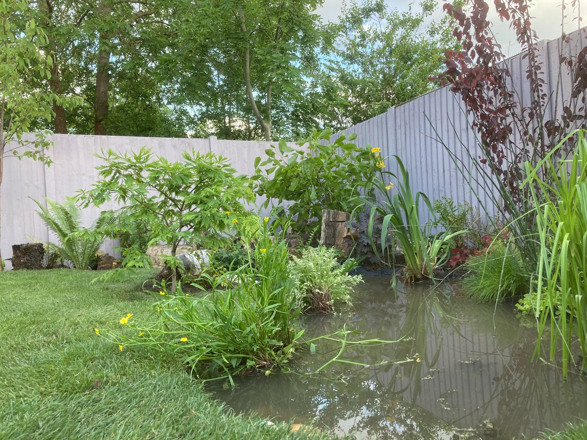 LoveYourGarden tweet media