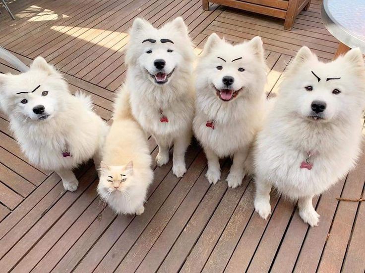 พี่ เมื่อไหร่จะมาเล่นด้วยกันอะ เหงา