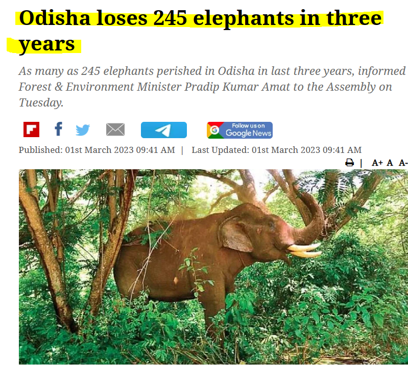 BDas18's tweet photo. Congratulations!Naveen Babu,for ur inability to #SaveElephants & under ur #VeryBadGovernance forest officials involved in #Poaching activity @Naveen_Odisha @ForestDeptt @moefcc #SaveEnvironment in #Reality STOP sending #FakeSlogans work ethically. Terminate all #CorruptEmployees https://t.co/ffhawE9v01